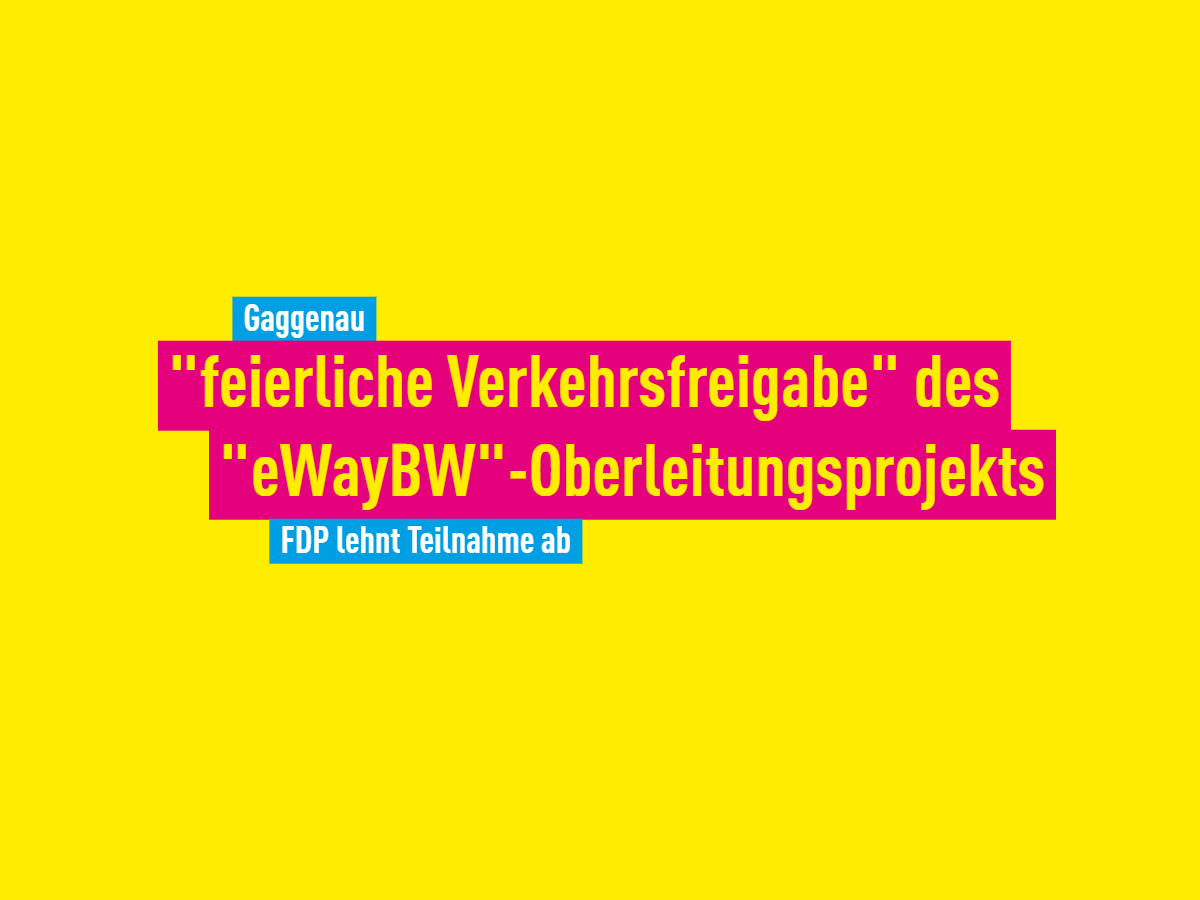 FDP Rastatt Kreisverband FDP Stadtverband Gaggenau eWayBW Unimog-Museum