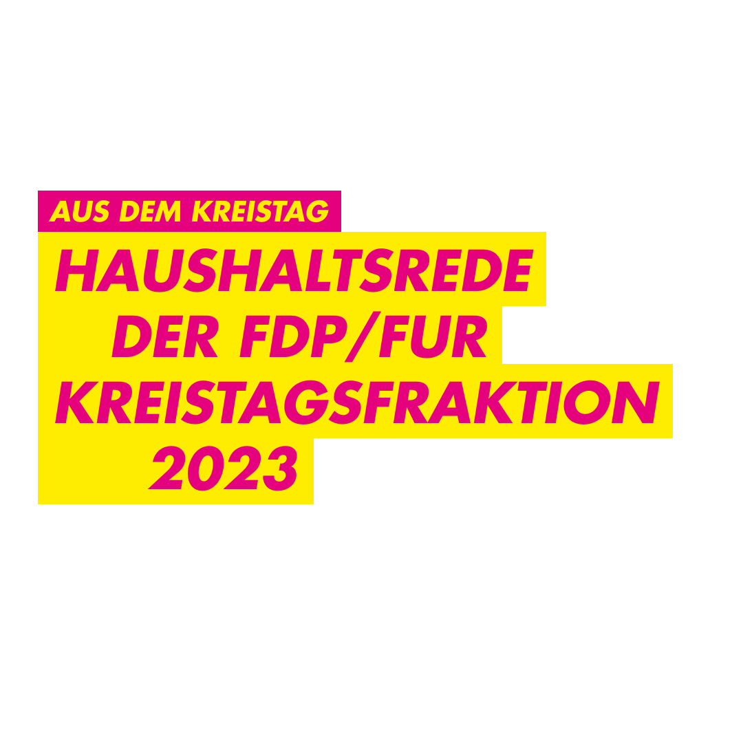 Lutz Jäckel FDP Kreistagsfraktion Rastatt Liberaldemokraten Haushaltsrede