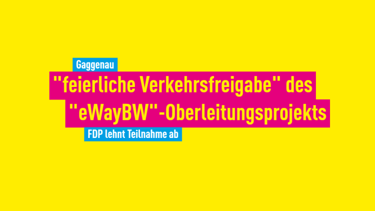 FDP Rastatt Kreisverband FDP Stadtverband Gaggenau eWayBW Unimog-Museum